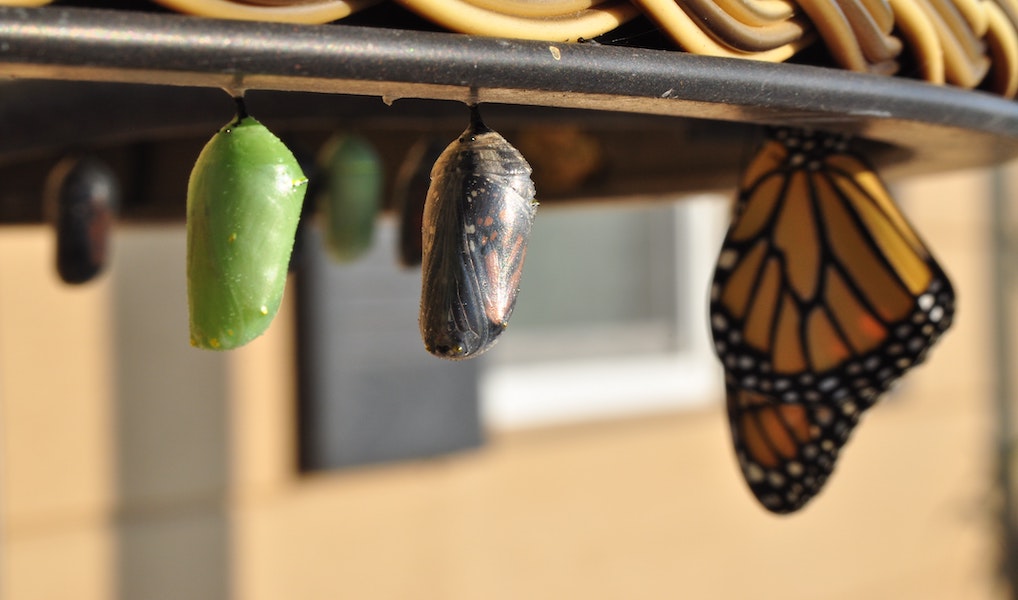 human resources management