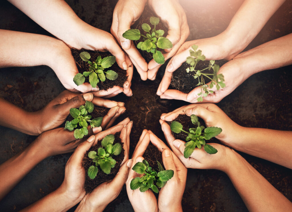 Culture of Inclusion