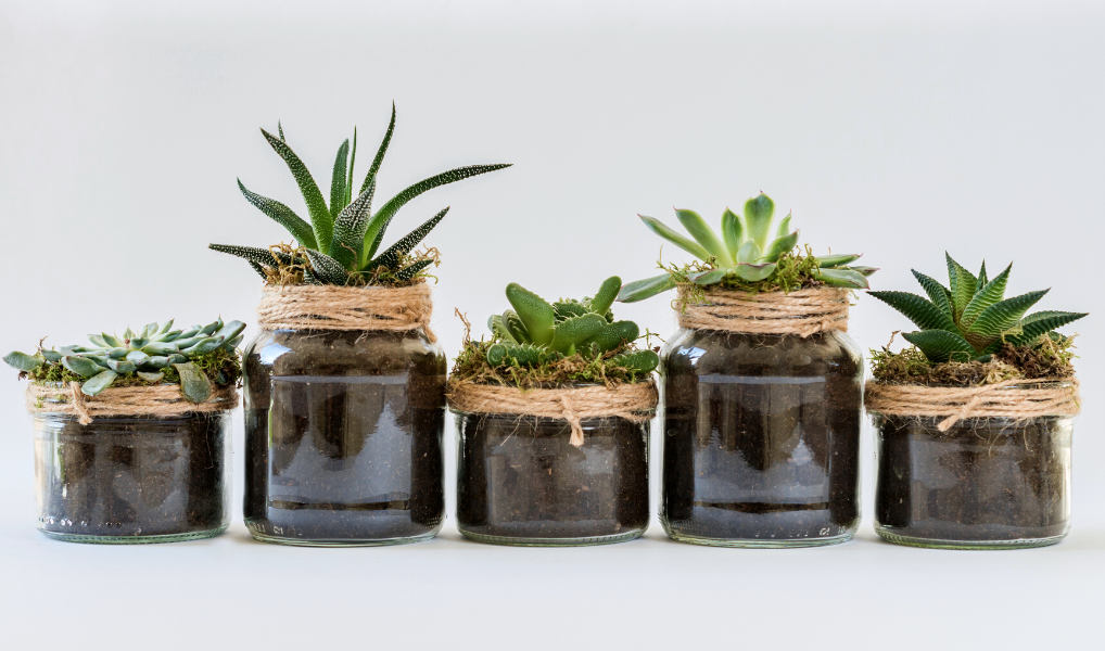 Employee Development - 5 Flexible Approaches that Work