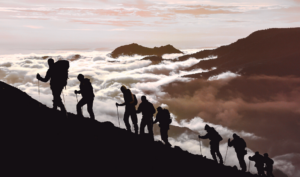 How Leadership Values Shape Culture - #WorkTrends Podcast