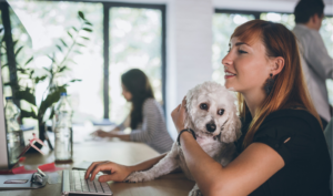 Pet Perks Why It's Paws Up For This Hot Benefits Trend