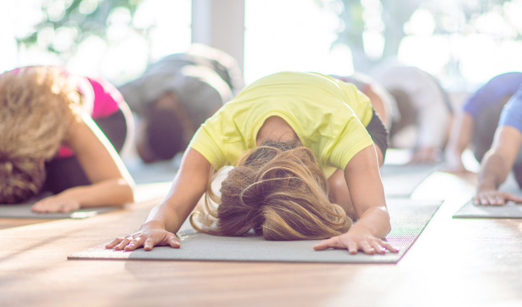 Wellbeing Training New Key to Workforce Development